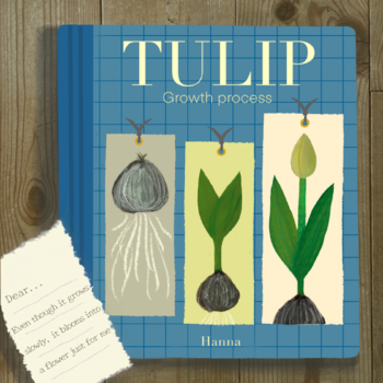 Art Gift Shop TULIP αU Magazine Type C